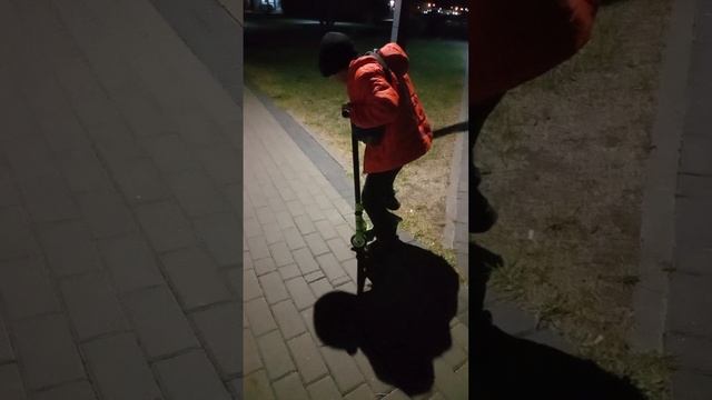 выживание от деки