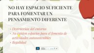 ARBOL DE PROBLEMAS VIS AUTOSOSTENIBLE
