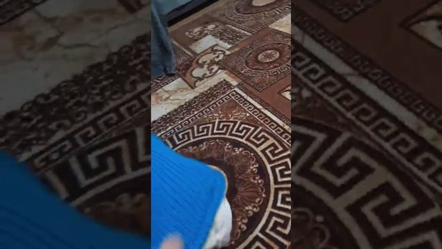 Видеоотчет от английского бульдога