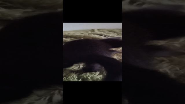 1000007674.mp4