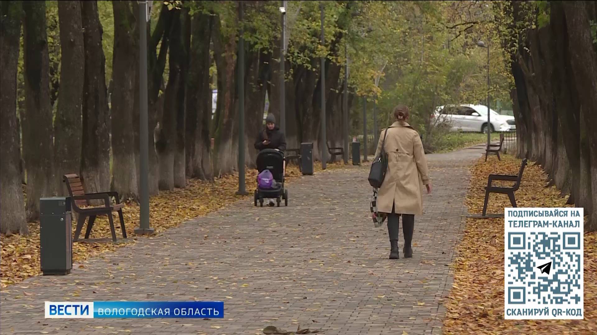 По-осеннему неустойчивая погода ожидается в Вологодской области в ближайшие сутки