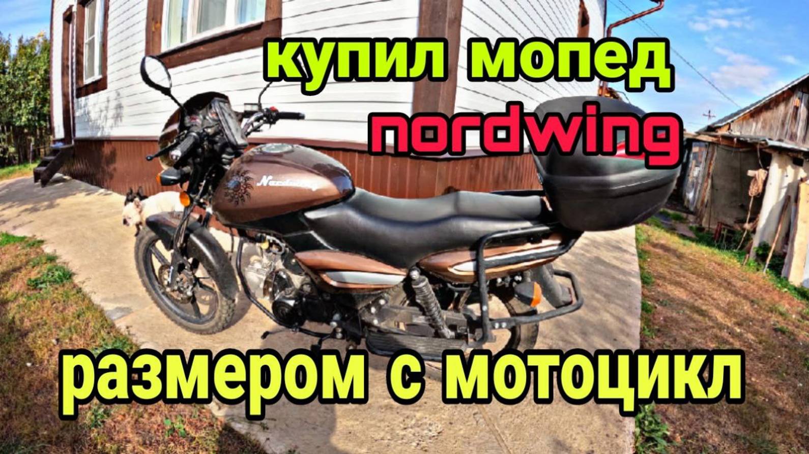 Купил мопед nordwing. Мопед размером с мотоцикл.