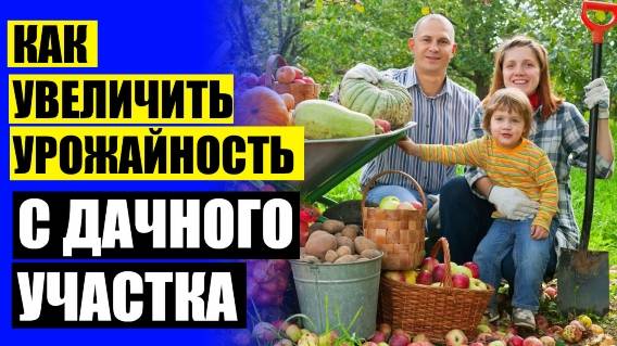 ⭐ Что нужно растениям для жизни 🤘 Удобрение для огурцов купить в спб ⚫