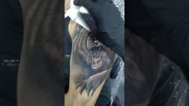 Bear tattoo