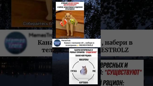 #мем #мемы #memes #рек #юмор #рекомендации #прикол