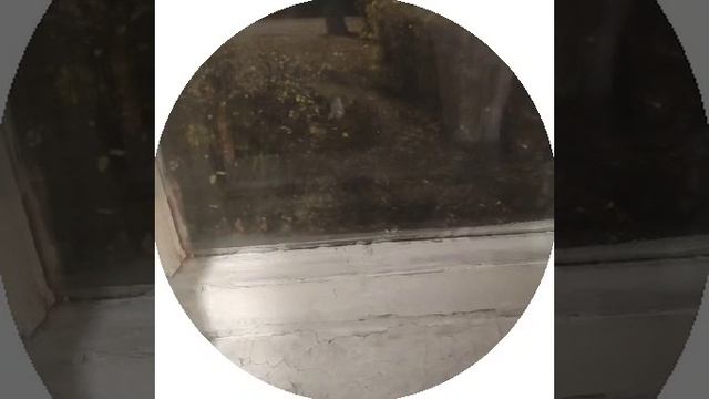 13-10-2024