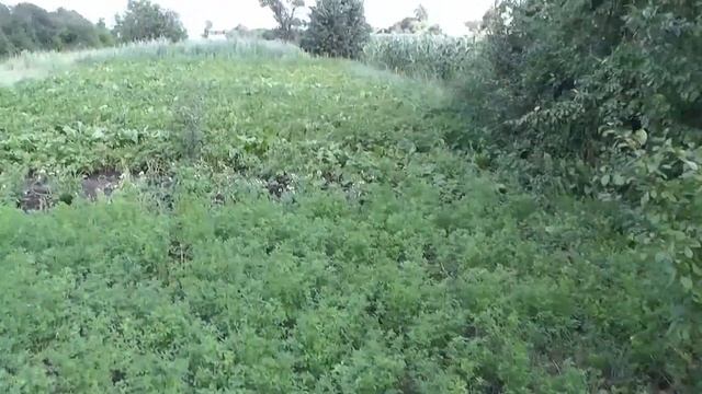 село Юнаковка Сумского района