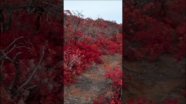 На закате осенней красоты