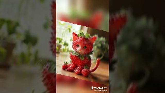 Фруктовый бум))