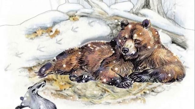 Барсук и Медведь