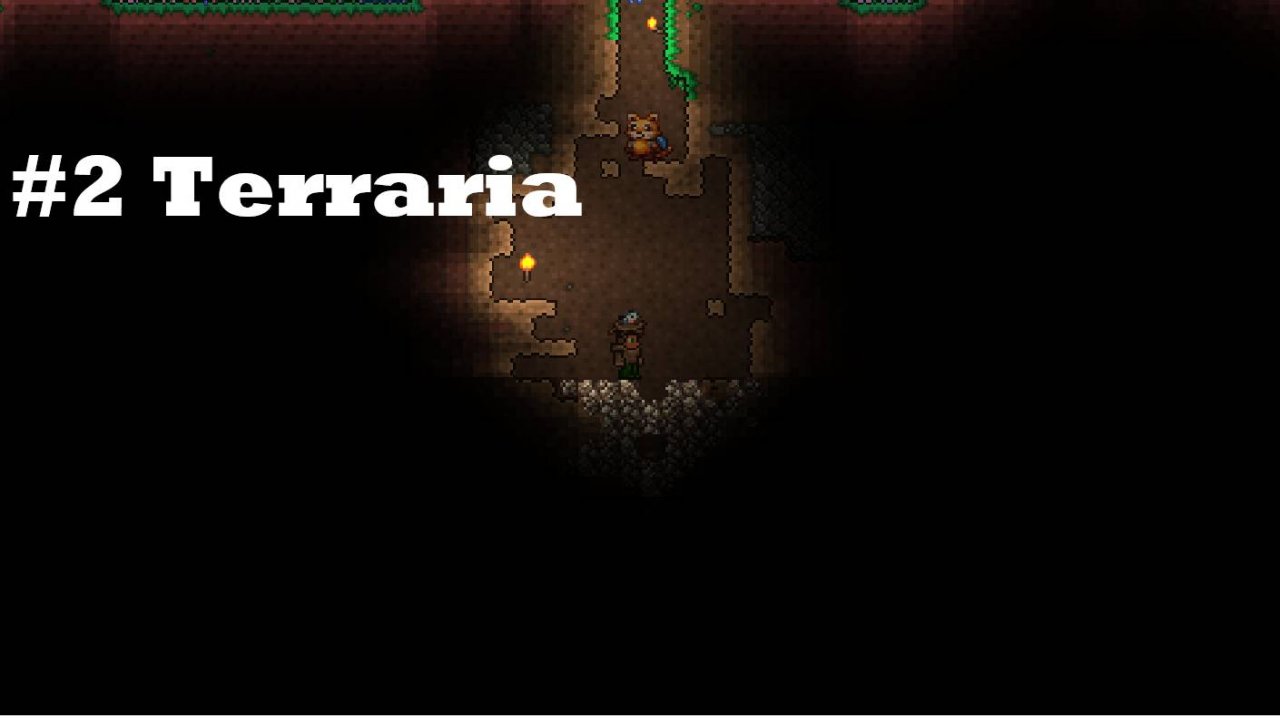 #2 Terraria