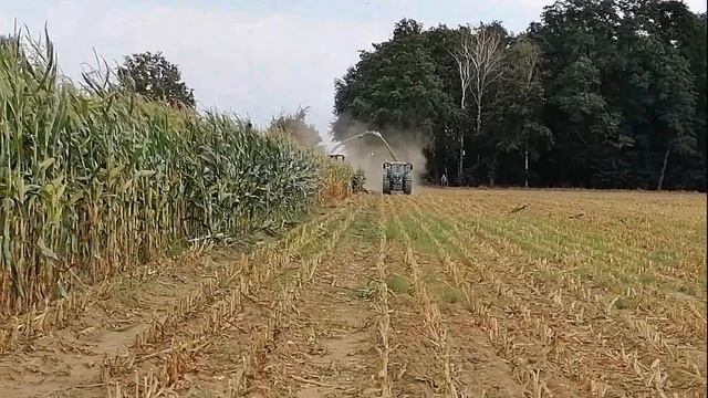 Eine Raubkatze will Gefüttert werden ! Claas Jaguar 960 TT