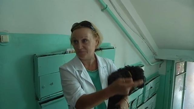 События Обнинск   14082015