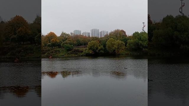 золотая осень