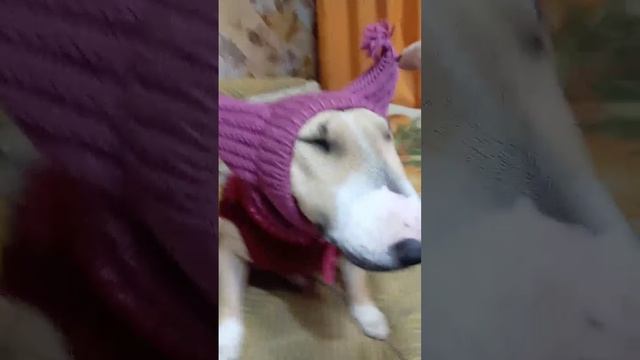 Видеоотчет от буледевочки!
