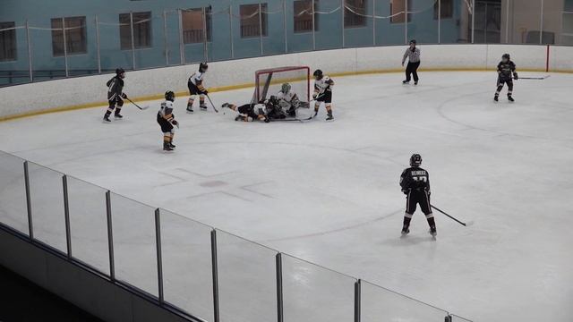 Hockey Fight!!! Timberwolves vs Jaguar