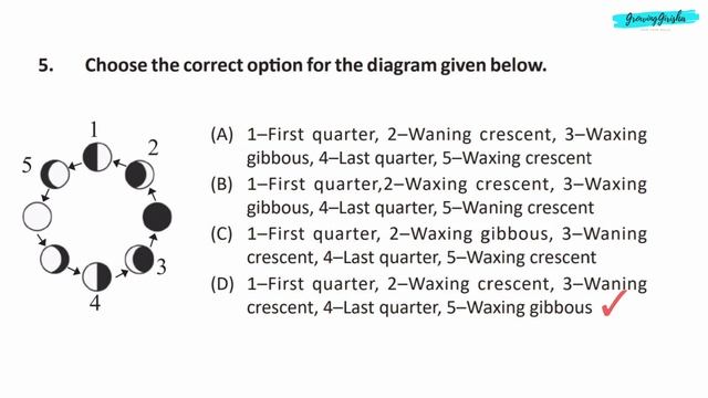 iOS International Olympiad of Science Silverzone Sample Paper Class 5 2022-23