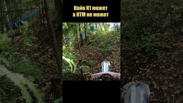 KAYO K1 может а КТМ не может 😜