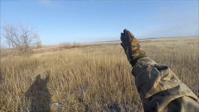 Охота на зайца  Лучшие моменты 1 часть   С праздником мужики