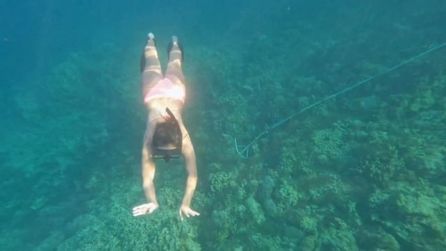 Freediving for Beginners Philippines