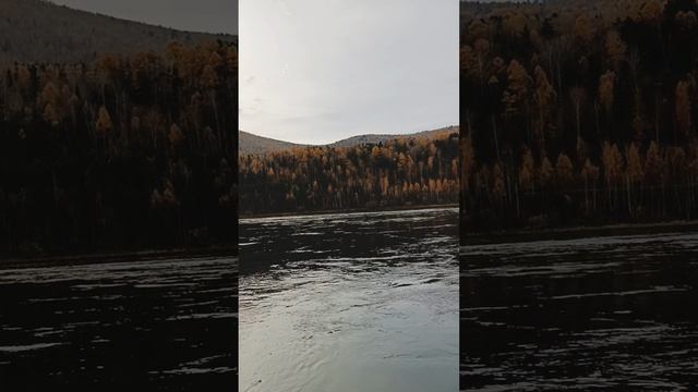 Осенняя рыбалка на Енисее