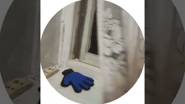 13-10-2024