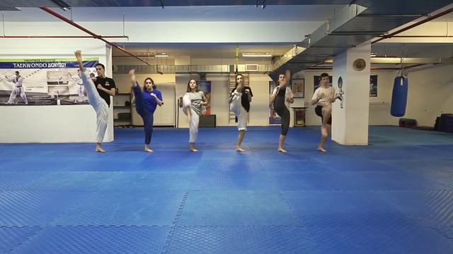 Jaguar Tae Kwon Do - Dionysos Club