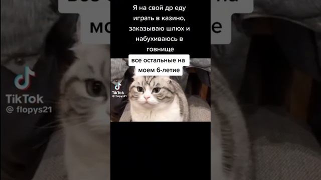 #моёшестилетие