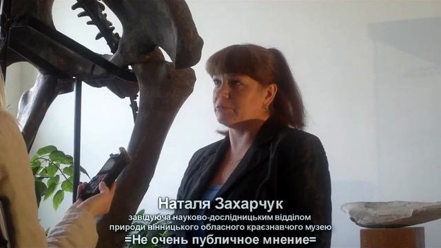 Не очень публичное мнение. Винницкий мамонт.