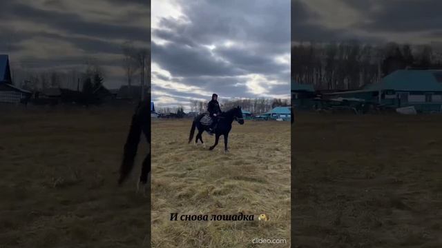 semia-antonovyx-zolotoi-kliucik_kIVSSVKN