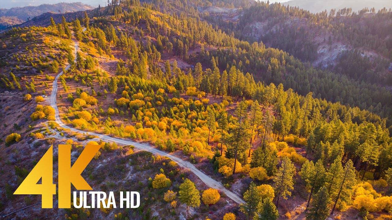 4K Drone Footage - Fall Colors of Mountain Home Road, Leavenworth, WA State - 3 Hour Drone Film