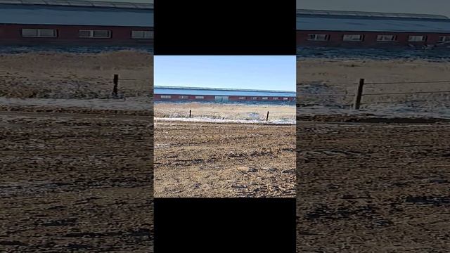 С праздником