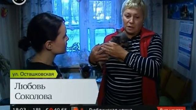 Видеоматериал с телеканала Москва24 Ветхий дом, жители в ужасе