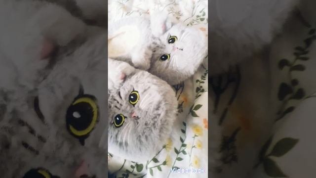 тапка котик (два котика)