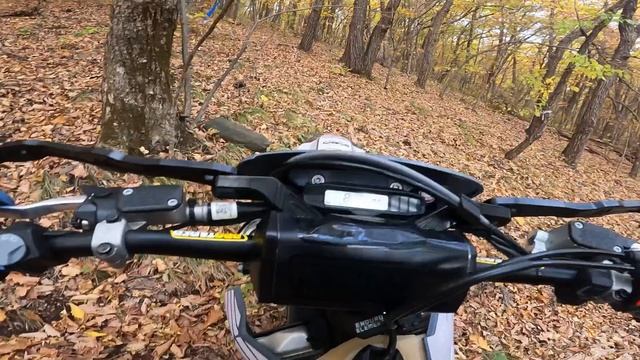 Николаевка 12.10.24 #enduro #эндуро