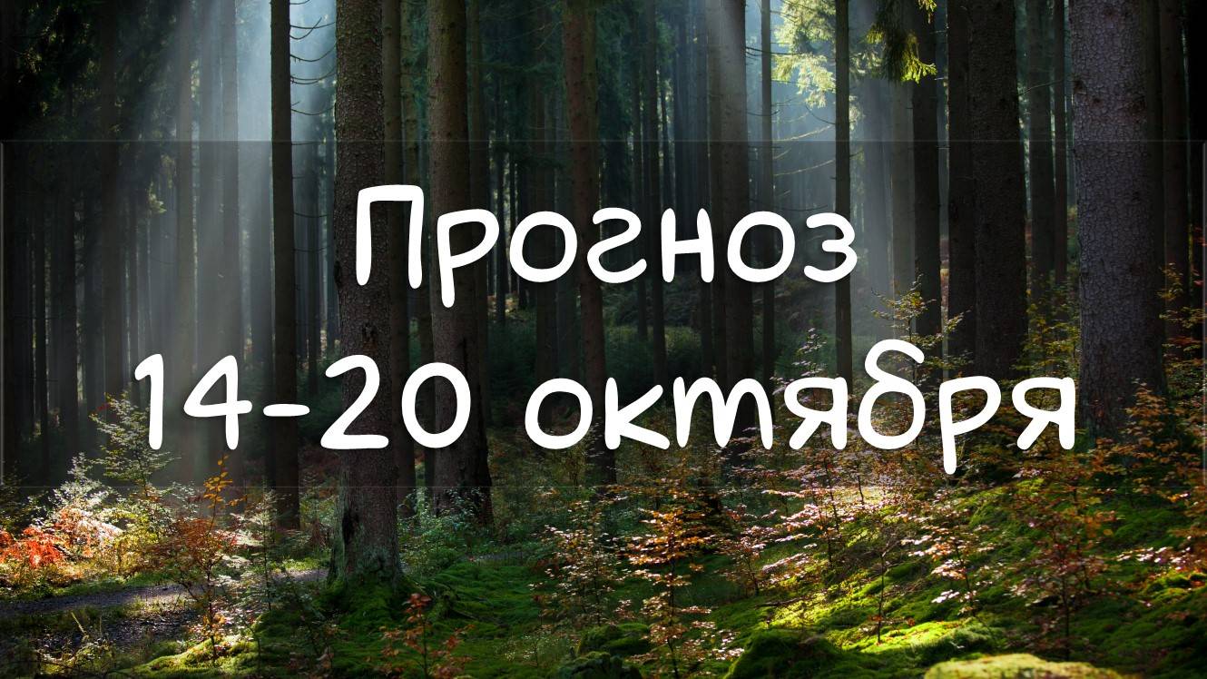 ГОРОСКОП НА НЕДЕЛЮ 14-20 октября.