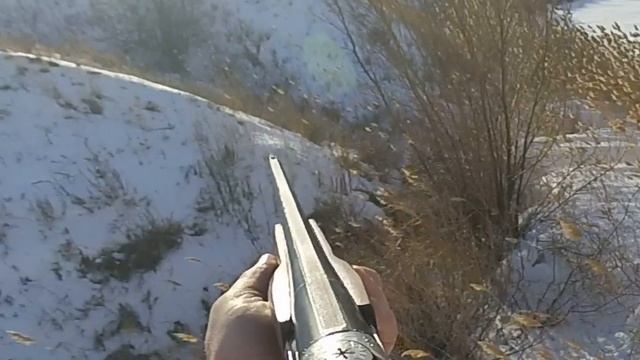 Охота на зайца  Лучшие моменты часть 3.