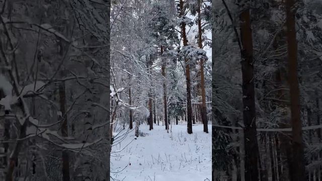 В календаре май, мозг говорит январь  вот она Уральская погода