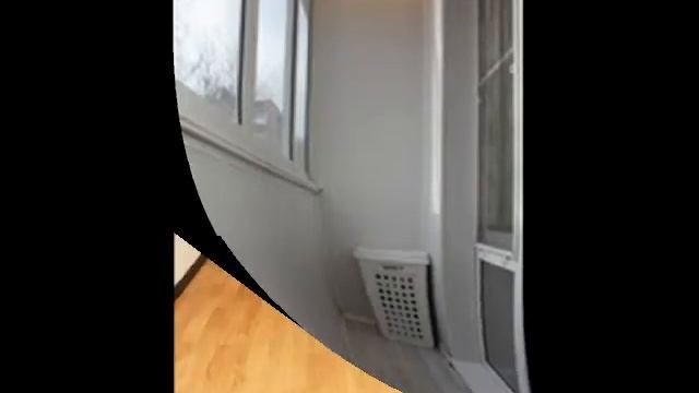 Zelenaya 4 video