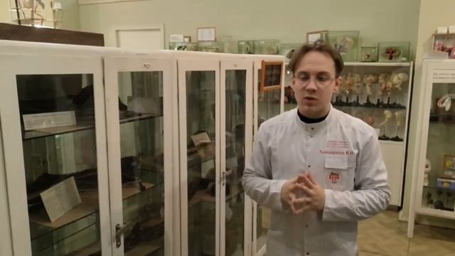 История развития анатомического музейного дела республики Башкортостан