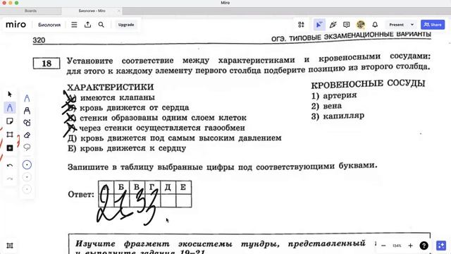 Разбор 26 варианта из сборника Рохлова 0ГЭ 2024 1 24 задание.