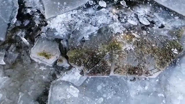 Влог мой день у бабушки/Гуляю с подружками/Хожу в магазин.