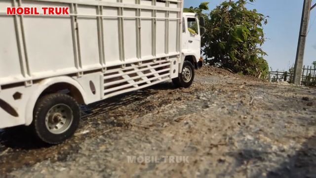 Muat Kayu Glondongan Truk Oleng Canter Fuso Isuzu NMR Jatuh Terguling Rc Excavator Cakruk