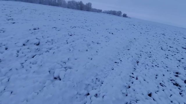 Охота на зайца  Не уверен в попадании   не опускай  руки