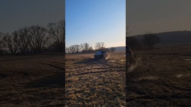Прадик вне дорог!
