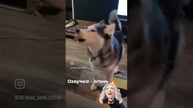 Ржака просто 😂😂😂😂