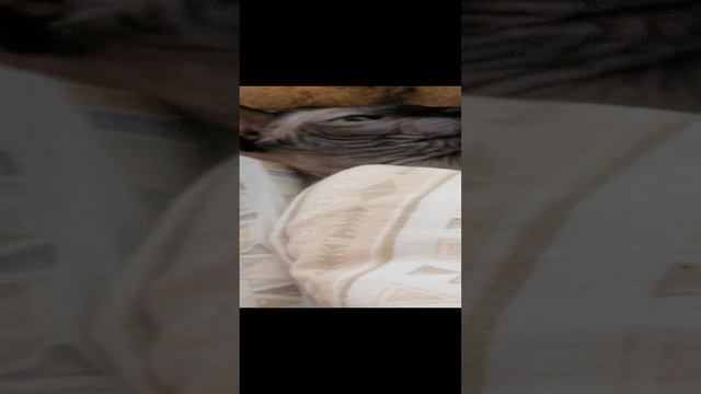 богатые против беднова