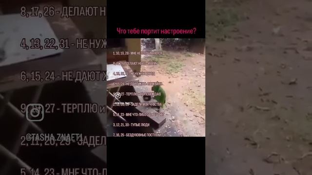 Что тебе портит настроение #shorts #ташазнает #тренерпоотношениям