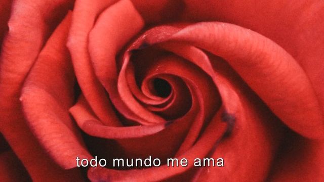 José Feliciano  - Everybody Loves Me tradução