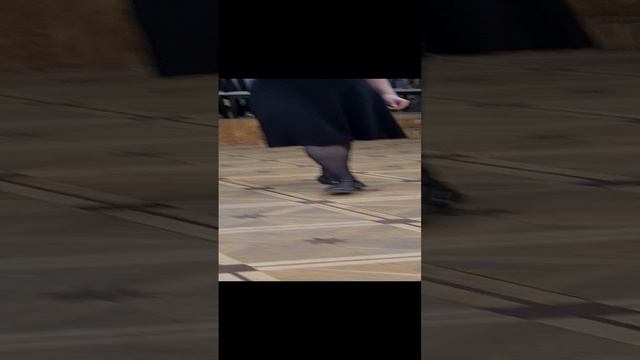 Лошадка и антилошадка))